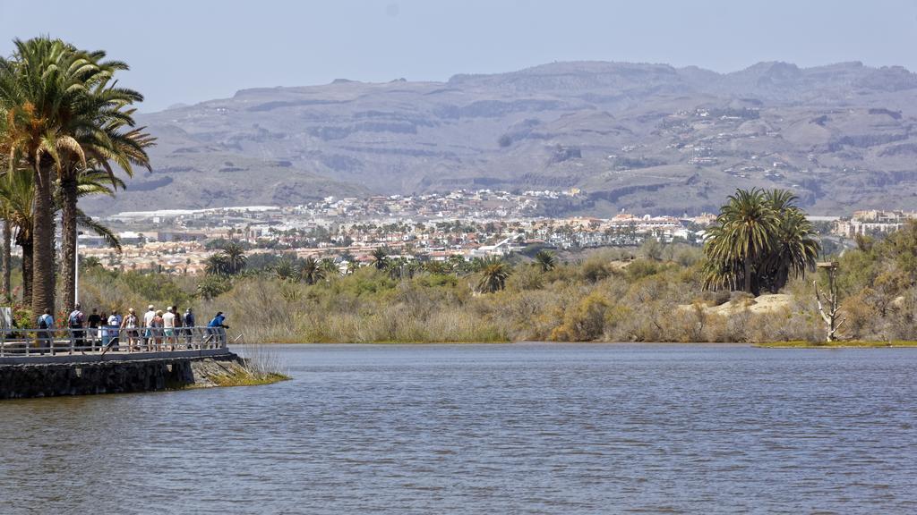 Cocoteros - Tamara Maspalomas (Gran Canaria)