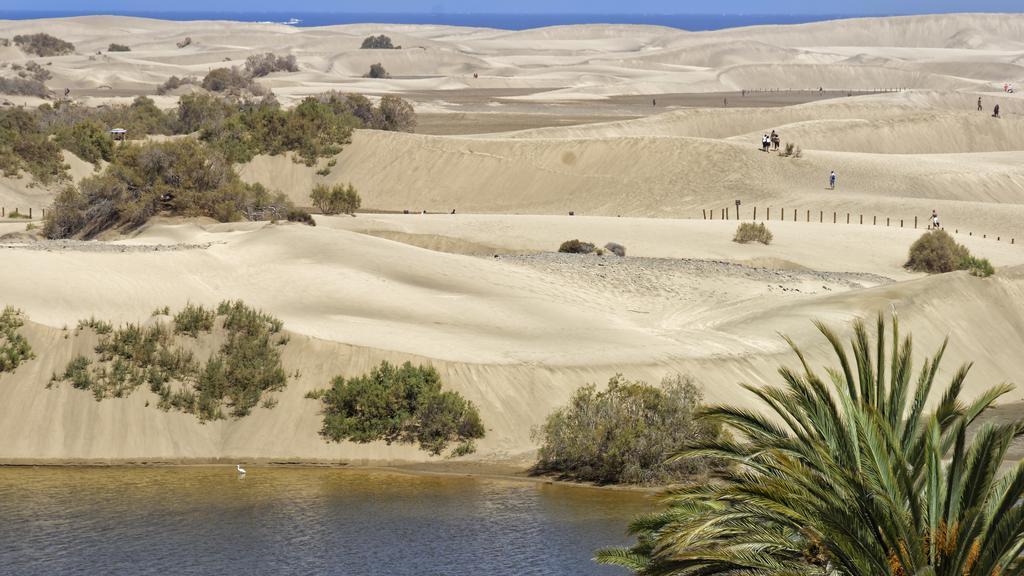 Cocoteros - Tamara Maspalomas (Gran Canaria)